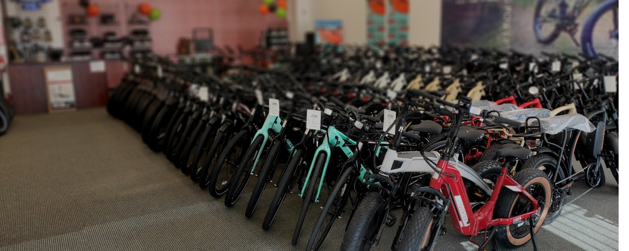 The Ebikes In Our Stores