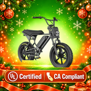 Macfox M16 Fat-Tire Youth Electric Bike - Teenagers' E-bike