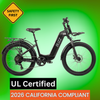 BUZZ Cerana 2 Commuter 24" Comfort E-bike