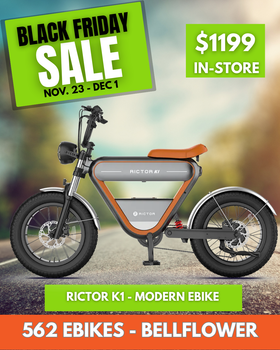 RICTOR K1 - Modern E-Bike