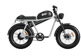 Qiolor Tiger JR by Vtuvia Electric Bikes