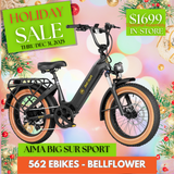 AIMA Big Sur Sport E-bike