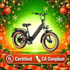 AIMA Big Sur Sport E-bike