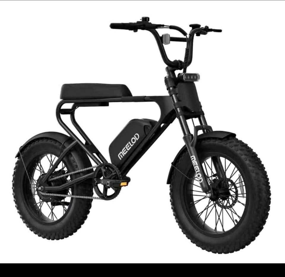 Black Friday E-Bike Blowout!