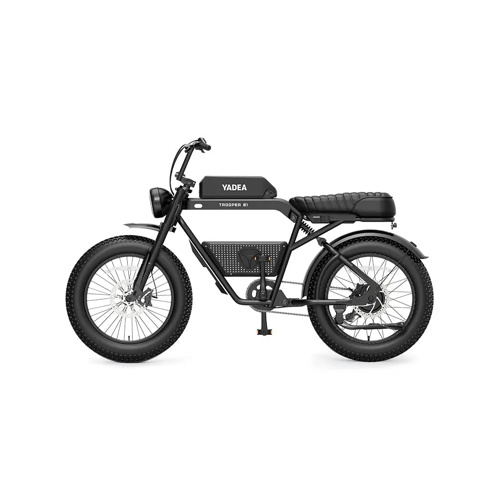 Trooper 01 Electric Bike High Power Motor with Unlimited Charm