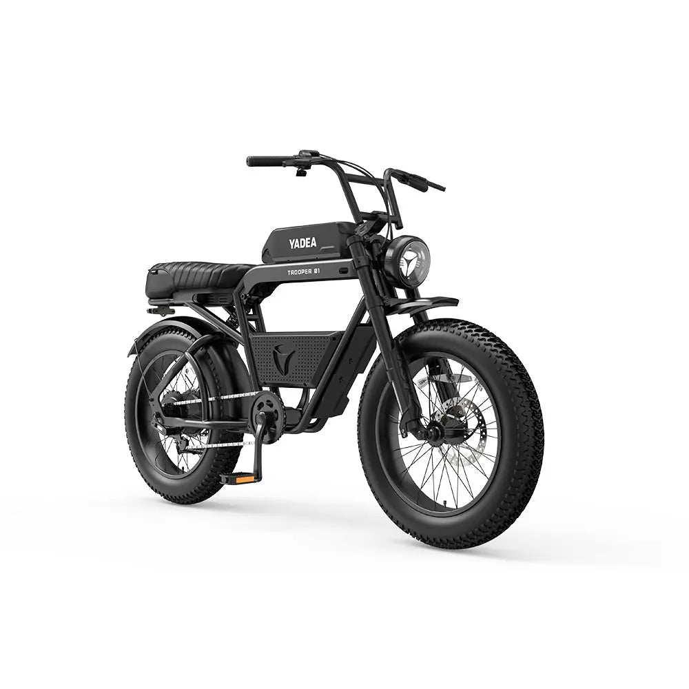 Trooper 01 Electric Bike High Power Motor with Unlimited Charm