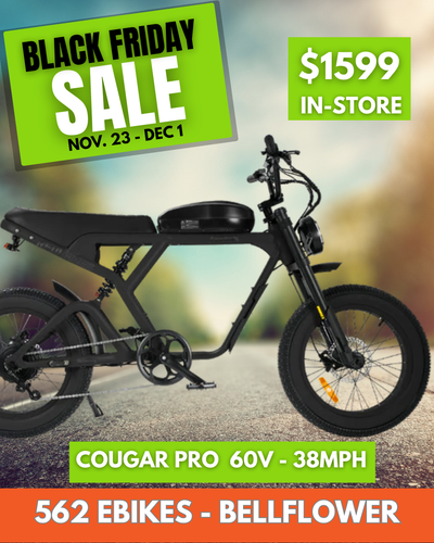 Revi Bikes Cougar Pro 60V 38mph E-Moto