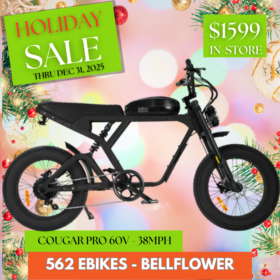 Revi Bikes Cougar Pro 60V 38mph E-Moto