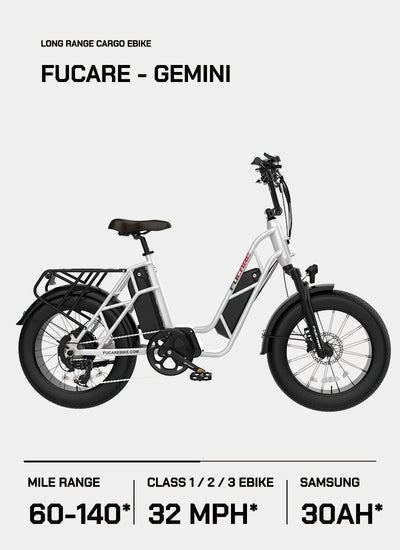 Fucare Gemini Step-thru Electric Cargo Bike