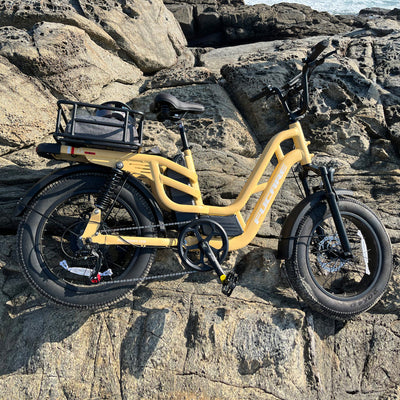 Fucare Libra Full Suspension Electric Bike