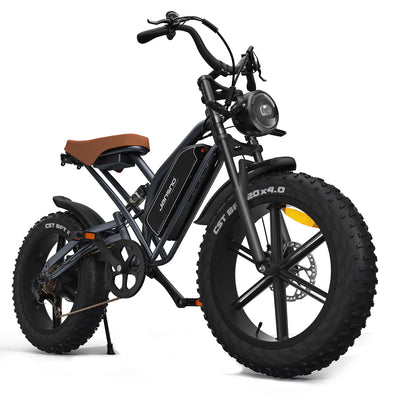 JANSNO X50 Fat Tire Electric Bike for Adults,750W Powerful Motor, 48V 14Ah Removable Battery