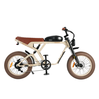 Revi Bikes Cougar Pro 60V 38mph E-Moto