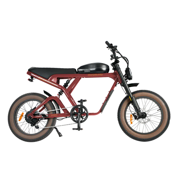 Revi Bikes Cougar Pro 60V 38mph E-Moto