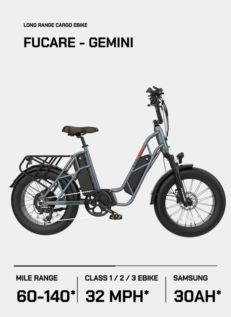 Fucare Gemini Step-thru Electric Cargo Bike