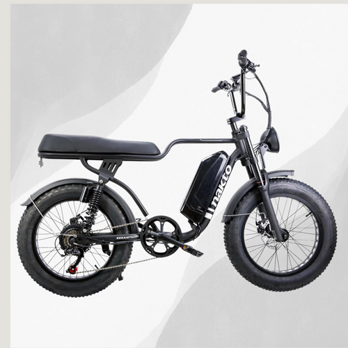 Electric Bicycle Local Store Near You E bikes For Sale Repairs