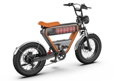 RICTOR K1 - Modern E-Bike