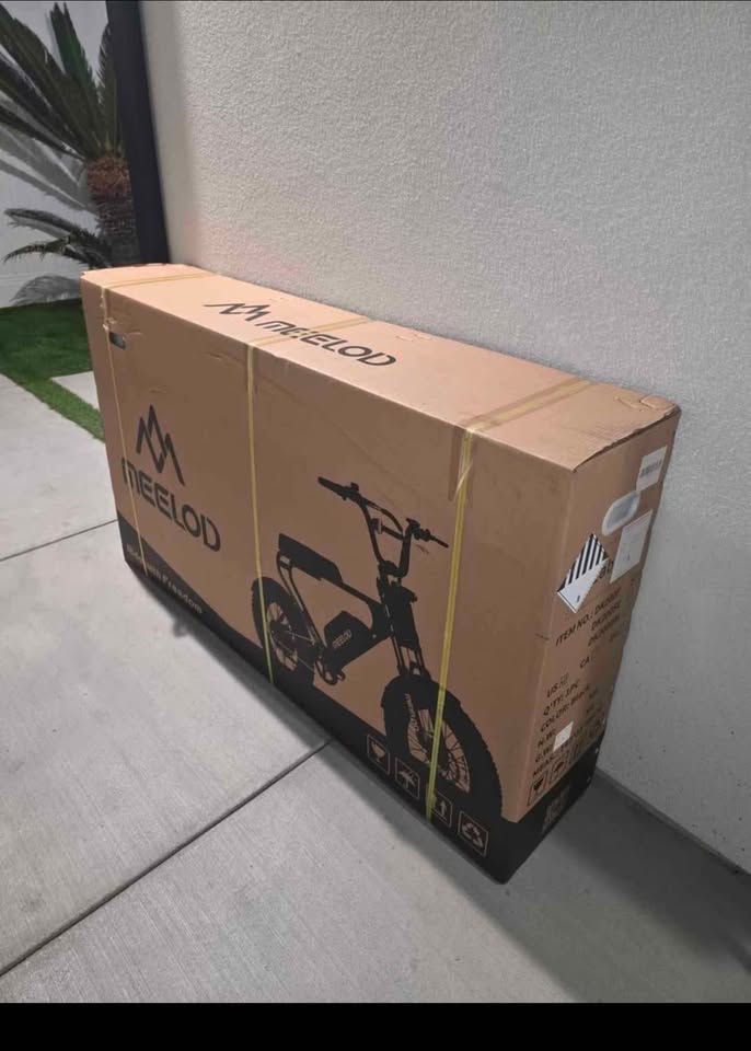 Meelod DK200F 1973 Retro e-Bike