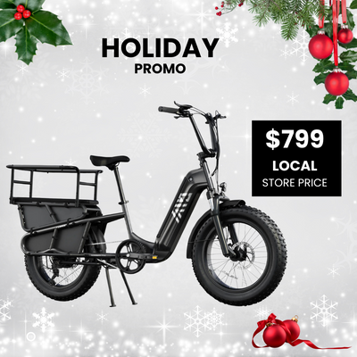 TST Carrier / Super Heavy-Duty E-Bike - 20'' Utility Electric Bicycle