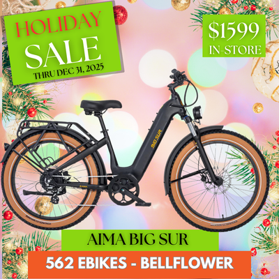 Aima Big Sur Electric Bike