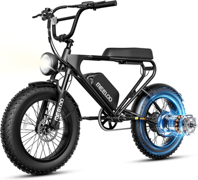 Meelod DK200F 1973 Retro e-Bike