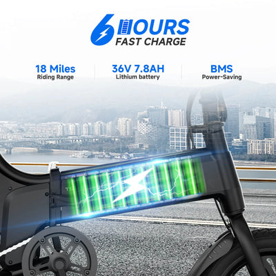 TST  14'' F4 Plus Folding Electric Bike