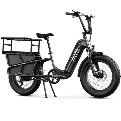 TST Carrier / Passenger E-Bike - 20'' Cargo Electric Bicycle