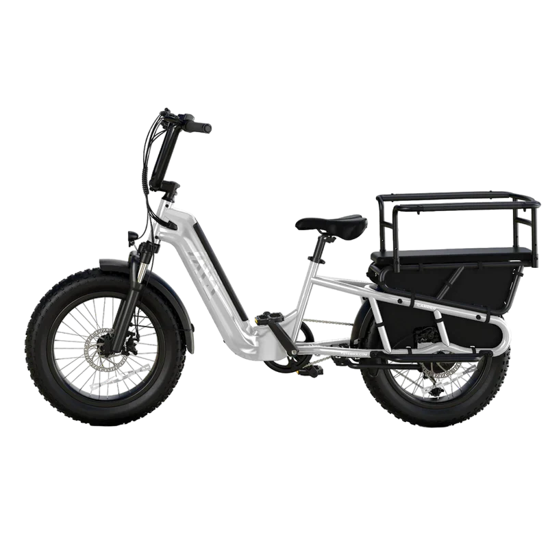 TST Carrier / Passenger E-Bike - 20'' Cargo Electric Bicycle