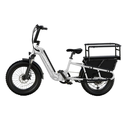 TST Carrier / Passenger E-Bike - 20'' Cargo Electric Bicycle