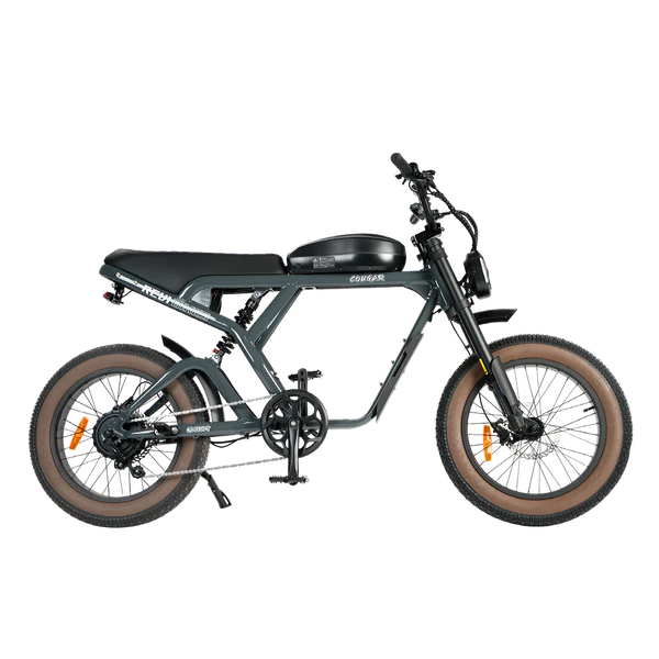 Revi Bikes Cougar Pro 60V 38mph E-Moto