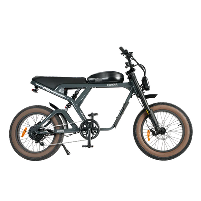 Revi Bikes Cougar Pro 60V 38mph E-Moto