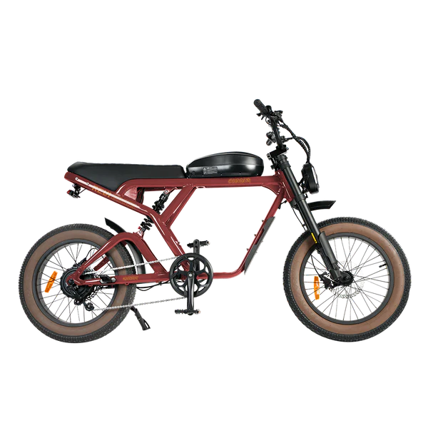 Revi Bikes Cougar Pro 60V 38mph E-Moto