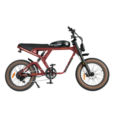 Revi Bikes Cougar Pro 60V 38mph E-Moto