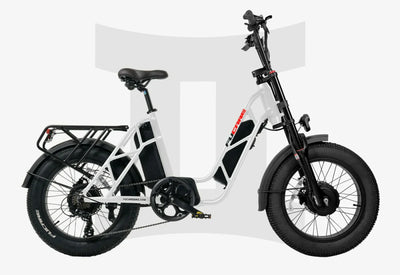 Fucare Gemini Sport Dual Motor Step Thru E-Moped