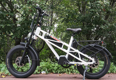 Fucare Gemini X Sport Dual Motor Dual Battery e-Moped