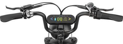 RICTOR K1 - Modern E-Bike