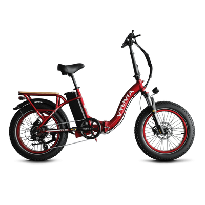 VTUVIA SF20H Step-Thru Folding Fat Tire E-Bike