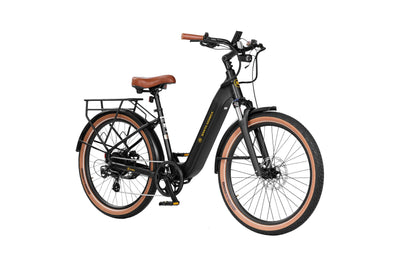 Santa Monica Ebike