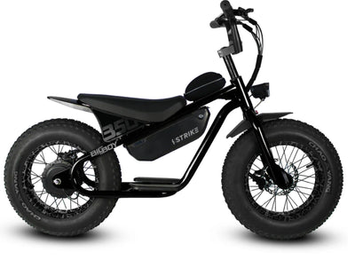 Big Boy - Electric Bike