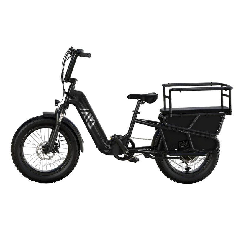 TST Carrier / Passenger E-Bike - 20'' Cargo Electric Bicycle