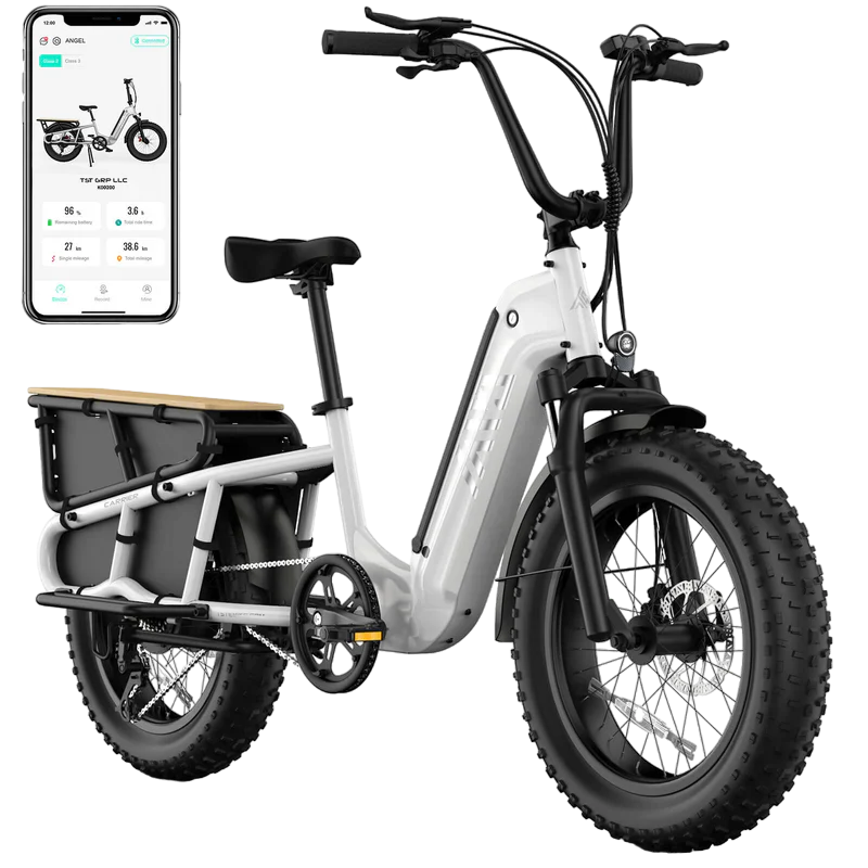 TST Carrier / Passenger E-Bike - 20'' Cargo Electric Bicycle