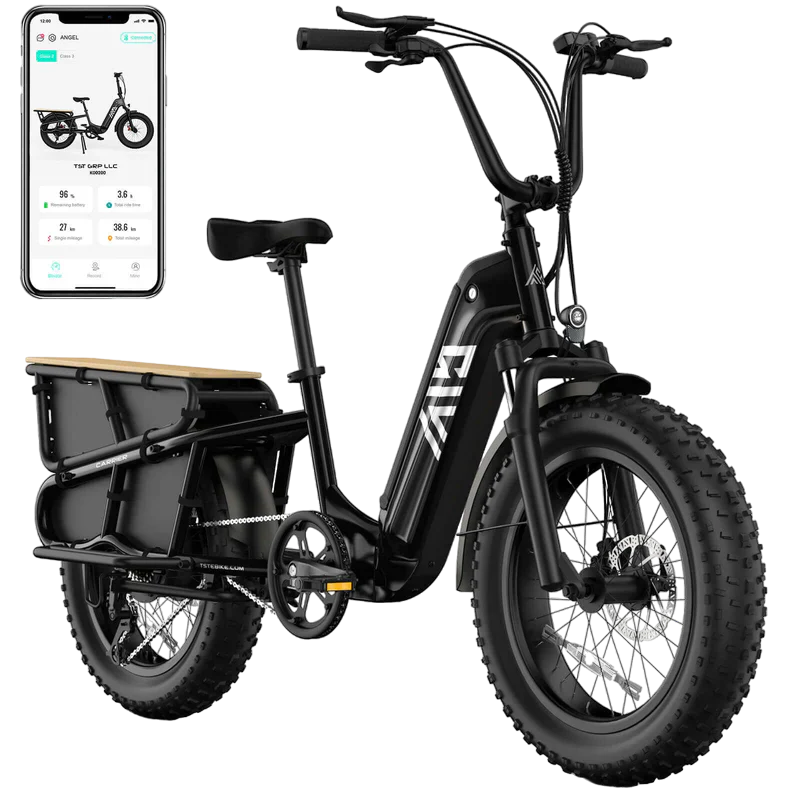 TST Carrier / Passenger E-Bike - 20'' Cargo Electric Bicycle