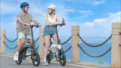 Hiboy C1 Folding Electric e-Bike