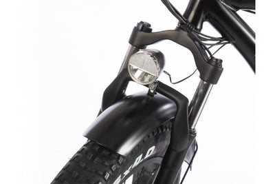 SOHOO 750w Fat Tire Beach Cruiser eBike