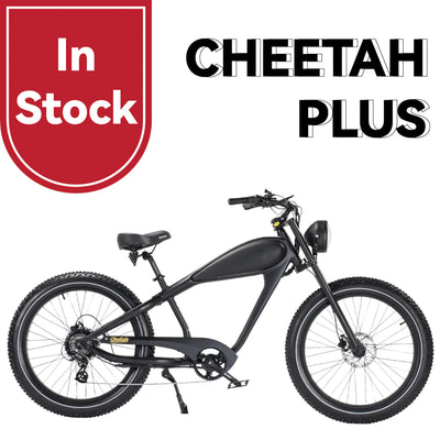 Cheetah PLUS by Revi E Bikes - The Latest Model