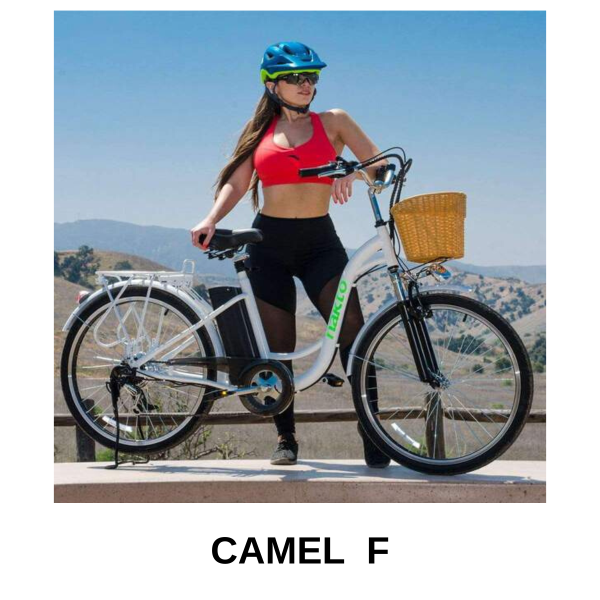 The Camel F by Nakto Bikes - Easy Step eBike