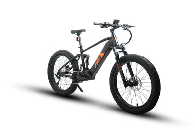 Mid drive best sale fat tire ebike