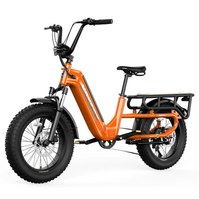 HOVSCO™ HovCart 20“ Step-Thru Electric Fat Bike