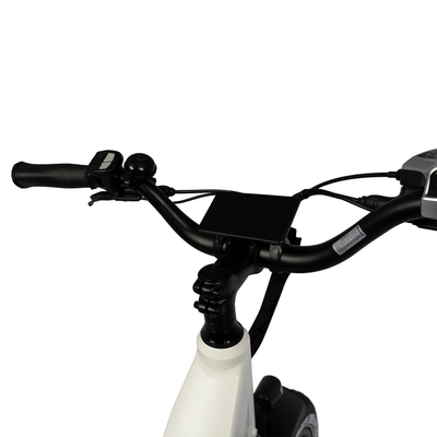 BANDIT FORERUNNER STEP-THRU eBike